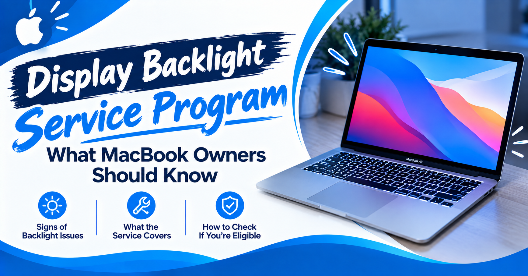 Display Backlight Service Program